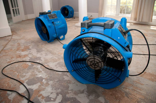Best Sewage cleanup and water damage restoration  in Beckett, NJ
